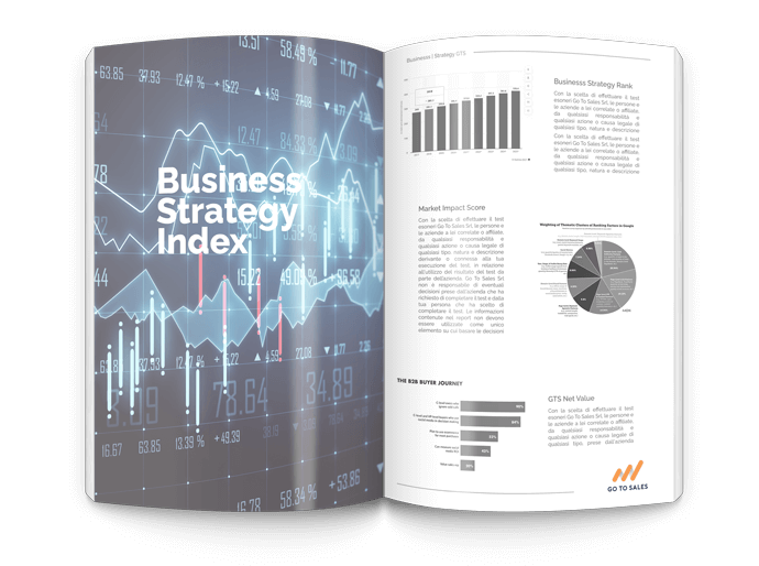 Business-Strategy-Index-Report-esempio-Go-To-Sales-Strategia-Commerciale-Integrata