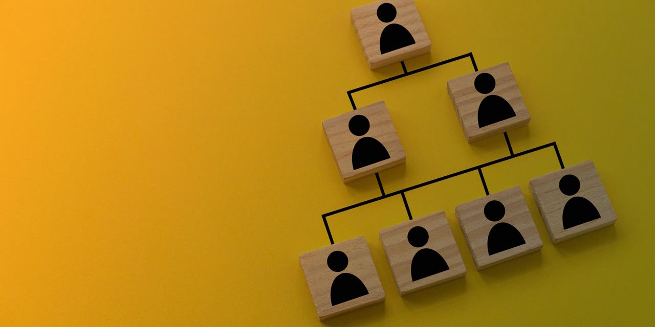 Organizzazione-del-Sales-Team-go-to-sales-strategia-commerciale-integrata